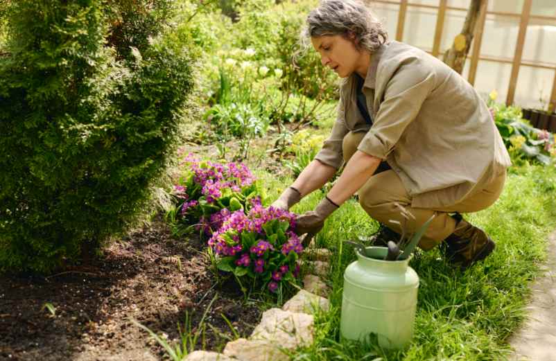 Les bonnes pratiques pour entretenir un jardin en climat tempéré : conseils pour un espace vert sain et durable Servir la Technique à la Maison