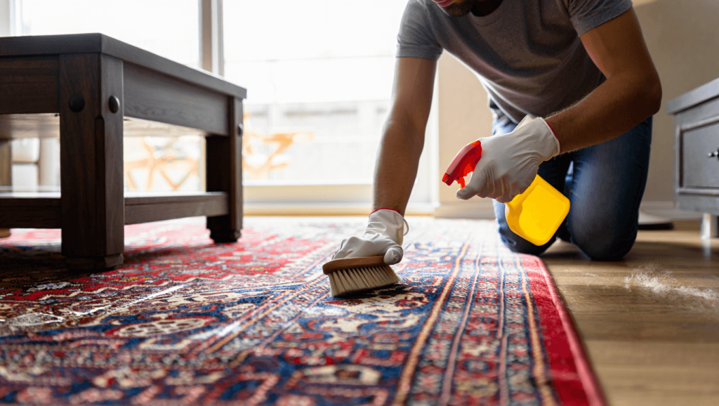 Design


						Comment laver un tapis correctement et facilement à la maison
					

					
						3 novembre 2025