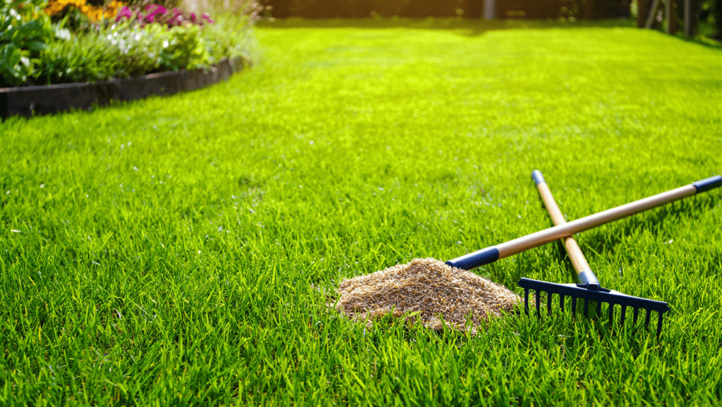 Comment et quand semer sa pelouse ?