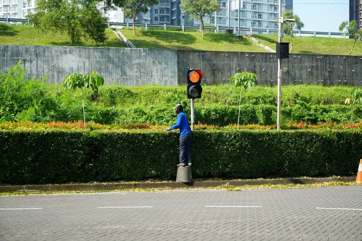 Professionnel agréé en services à la personne effectuant la taille d'une haie