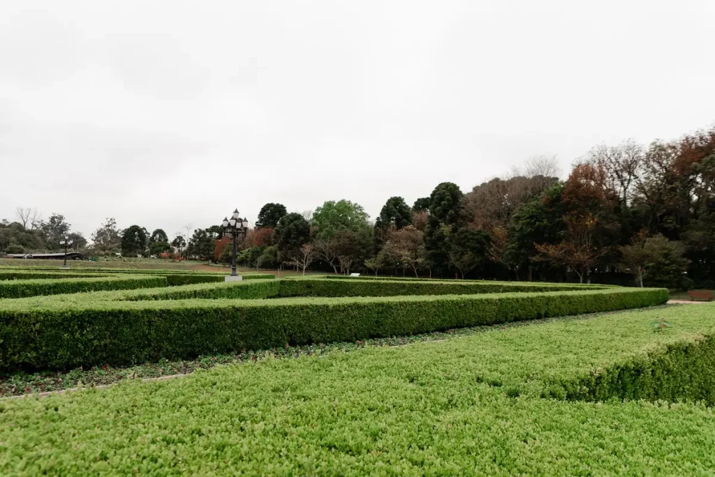 Mains anonymes tenant des cisailles de jardin près d'une haie taillée et d'un document fiscal