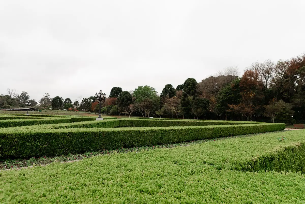 Mains anonymes tenant des cisailles de jardin près d'une haie taillée et d'un document fiscal