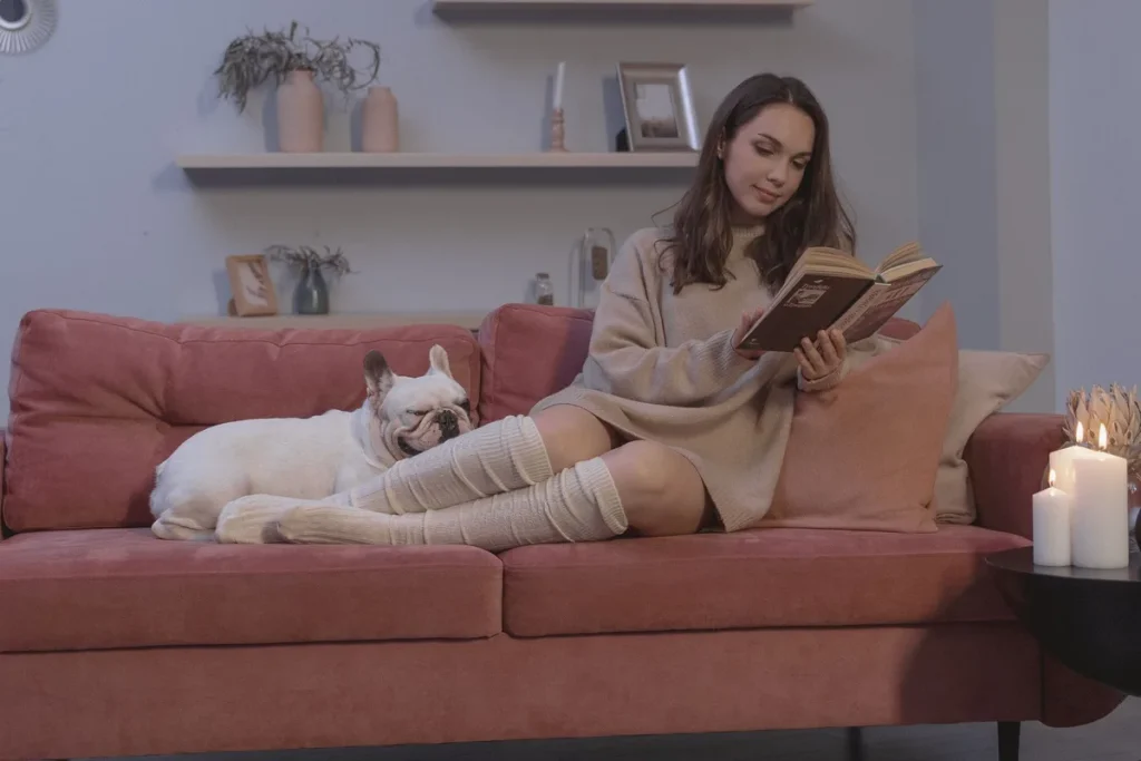 Un chien se repose confortablement sur un canapé rembourré dans un salon lumineux.