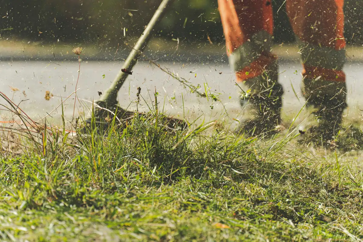 Tondeuse à gazon en action sur un jardin bien entretenu