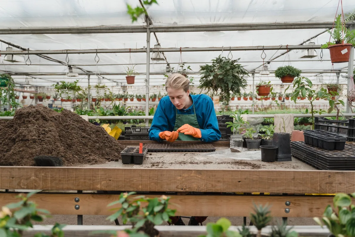 Différents systèmes d'ancrage pour serre de jardin : sardines, platines et fixations métalliques