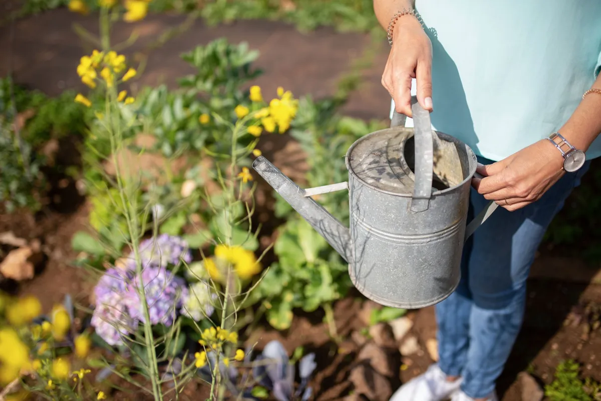 Paysagiste créant un massif de fleurs et aménageant un espace extérieur
